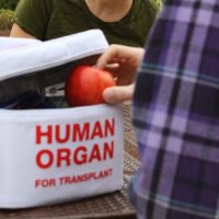 Organ Transport Lunch Bag