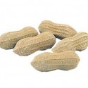 Peanut Erasers