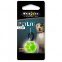 PetLit LED Collar