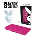 Playboy Ice Cube Tray