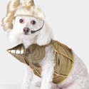 Pop Queen Dog Costume