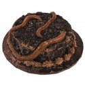 Realistic Gummy Earthworms