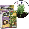 Seed Bombs Throw and Grow Plants
