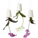 Sky Planter
