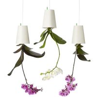 Sky Planter