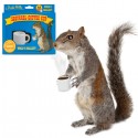 Squirrel Coffee Cup
