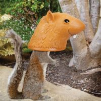 Squirrel Head Squirrel Feeder