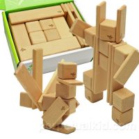 Tegu Discovery Magnet Set