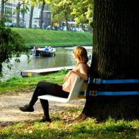 Tree Bench
