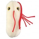 Tub of 3 Salmonella Plush Toys