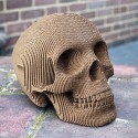 Vince Cardboard Human Skull
