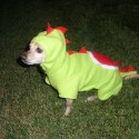 Yoshi Nintendo Dog Costume