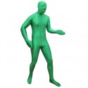 Always Sunny Greenman Suit
