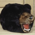 Bear Hat