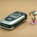 Pet Cactus Cell Phone Charm