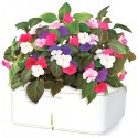 Click and Grow Computerized Plant Pot