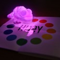 Color Change Chameleon Lamp