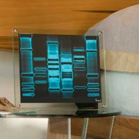 DNA Mini Portrait