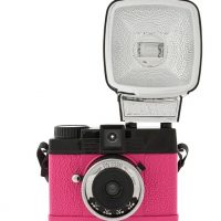 Diana Mini En Rose