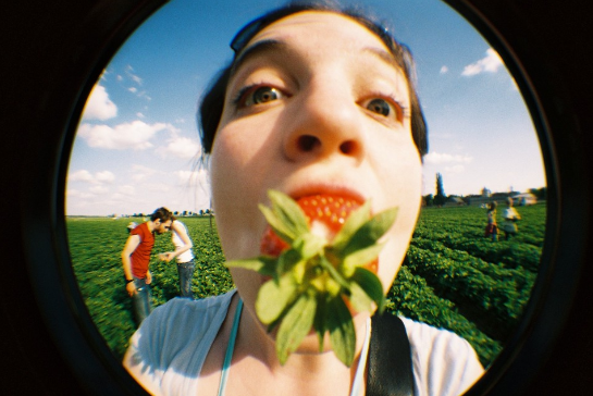 With this arsenal the possibilities for your Fisheye lomography are endless