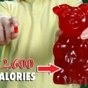 Giant Gummy Bear