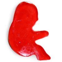 Gummy Fetus
