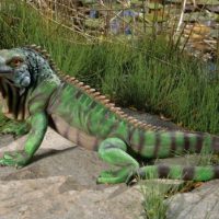 Iguana Garden Statue