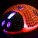 Ladybug Bling Bling Optical Mouse