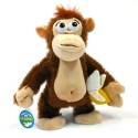 Mad Monkey
