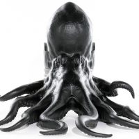 Maximo Riera Octopus Chair