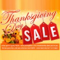Newegg Thanksgiving Day Sale