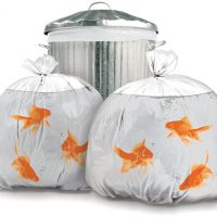 Goldfish Garbage Bags