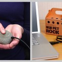 USB Pet Rock