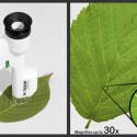 Pocket Microscope