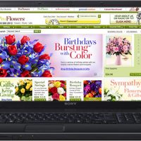 Proflowers Coupons