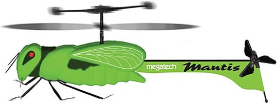 R/C Insect R/C Insect