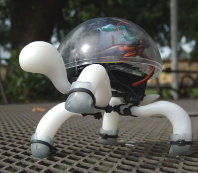 R/C Robot Tortoise
