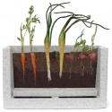 Root Vue Farm