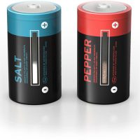 D Battery Salt and Pepper Shakers