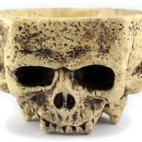 Skull Candy Bowl