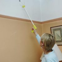 Humane Spider Catcher