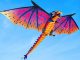 10 Foot Wingspan Dragon Kite