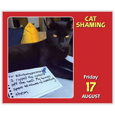 2018 Cat Shaming Desktop Calendar
