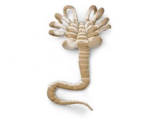 Aliens Facehugger Poseable Plush Toy