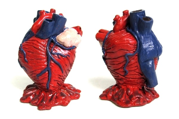 Anatomical Heart Pencil Holder