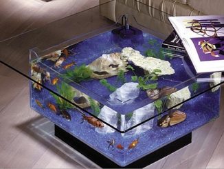 Aquarium Coffee Table
