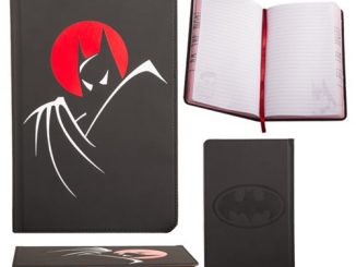 Batman The Animated Series Dark Knight Journal