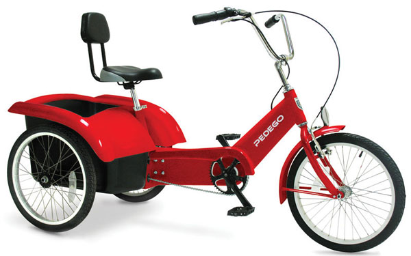 Beachcombing Electric Tricycle