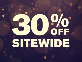 BoxLunch New Years Sale