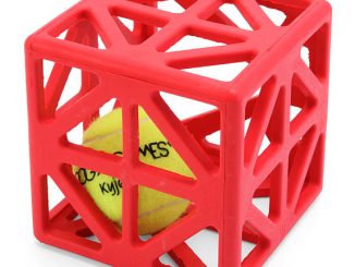 Cagey Cube Dog Ball Toy